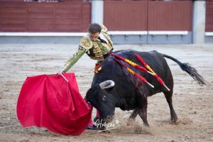 Vuelta al ruedo de Miguel Andrades en Madrid