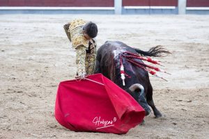 Vuelta al ruedo de Miguel Andrades en Madrid