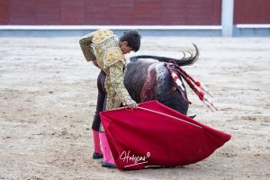 Vuelta al ruedo de Miguel Andrades en Madrid