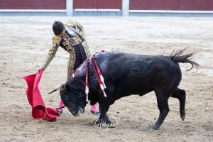 Vuelta al ruedo de Miguel Andrades en Madrid