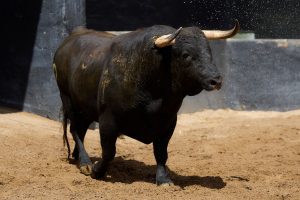 Los toros de Alcurrucén para hoy en Sevilla
