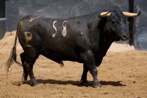 Los toros de Alcurrucén para hoy en Sevilla