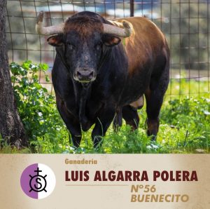 Los tres toreros para este sábado en Alalpardo