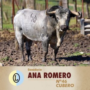 Los tres toreros para este sábado en Alalpardo