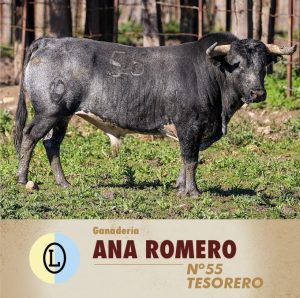 Los tres toreros para este sábado en Alalpardo