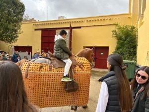 Albacete, capital de la Tauromaquia