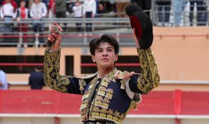 A oreja por coleta en Saint-Martín de Crau