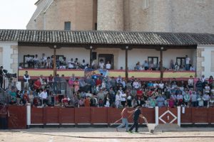 Aplazadas las corridas de Alalpardo y San Martín de Valdeiglesias