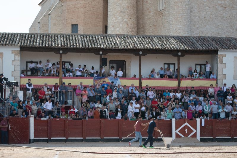 Aplazadas las corridas de Alalpardo y San Martín de Valdeiglesias