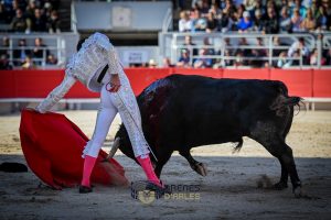 Arles vibra con una extraordinaria corrida de toros