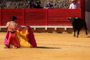 Pedro Gallego y Gonzalo Capdevila, a hombros en Cortegana