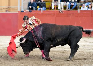 Oreja para Francisco Montero en Estremera