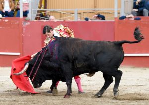 Oreja para Francisco Montero en Estremera