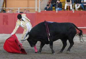 Oreja para Francisco Montero en Estremera