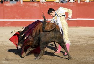 Oreja para Francisco Montero en Estremera