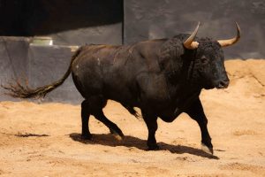 Los ejemplares de Fuente Ymbro para esta tarde en Sevilla