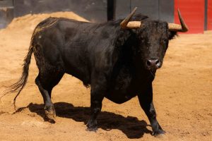 Los ejemplares de Fuente Ymbro para esta tarde en Sevilla