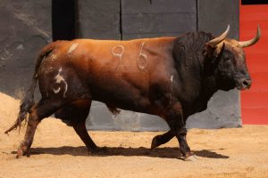 Los ejemplares de Fuente Ymbro para esta tarde en Sevilla