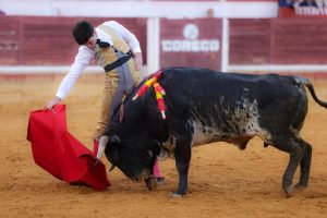 Excelente y triunfal novillada en Lucena