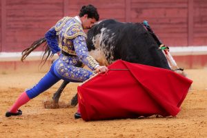 Excelente y triunfal novillada en Lucena