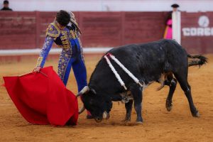 Excelente y triunfal novillada en Lucena