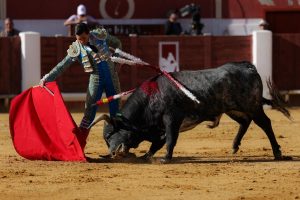 Excelente y triunfal novillada en Lucena