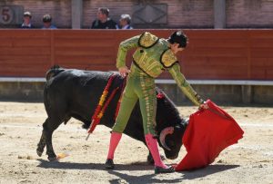 Resultado de la novillada de Miraflores de la Sierra
