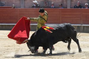Resultado de la novillada de Miraflores de la Sierra