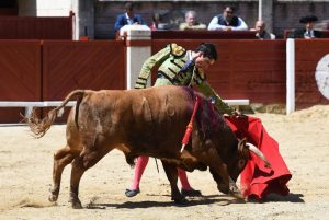 Resultado de la novillada de Miraflores de la Sierra