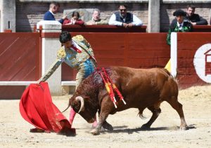 Resultado de la novillada de Miraflores de la Sierra
