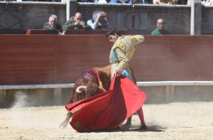 Resultado de la novillada de Miraflores de la Sierra