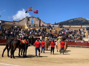 Resultado de la novillada de Miraflores de la Sierra