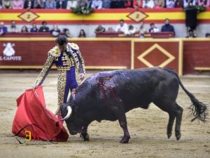 Los tres toreros a hombros en Moralzarzal