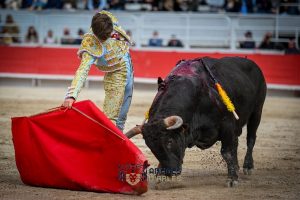 Tomás Bastos y Víctor destacaron en la novillada de Arles