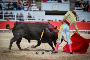 Tomás Bastos y Víctor destacaron en la novillada de Arles