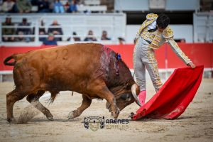 Tomás Bastos y Víctor destacaron en la novillada de Arles