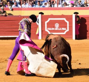 A oreja por coleta con los Veraguas en Palos de la Frontera