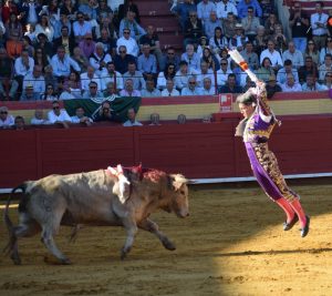 A oreja por coleta con los Veraguas en Palos de la Frontera