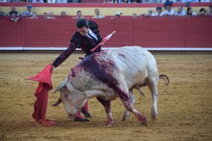A oreja por coleta con los Veraguas en Palos de la Frontera
