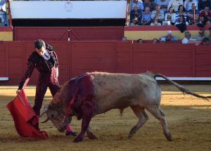 A oreja por coleta con los Veraguas en Palos de la Frontera