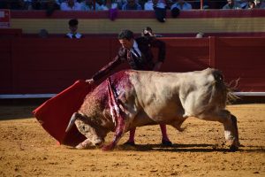 A oreja por coleta con los Veraguas en Palos de la Frontera