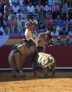 A oreja por coleta con los Veraguas en Palos de la Frontera