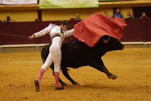 Nuevo participante del Circuito de Castilla y León 2025