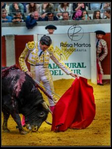 A hombros Alejandro Talavante y pablo Aguado en Pozoblanco