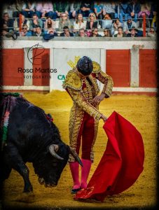 A hombros Alejandro Talavante y Pablo Aguado en Pozoblanco