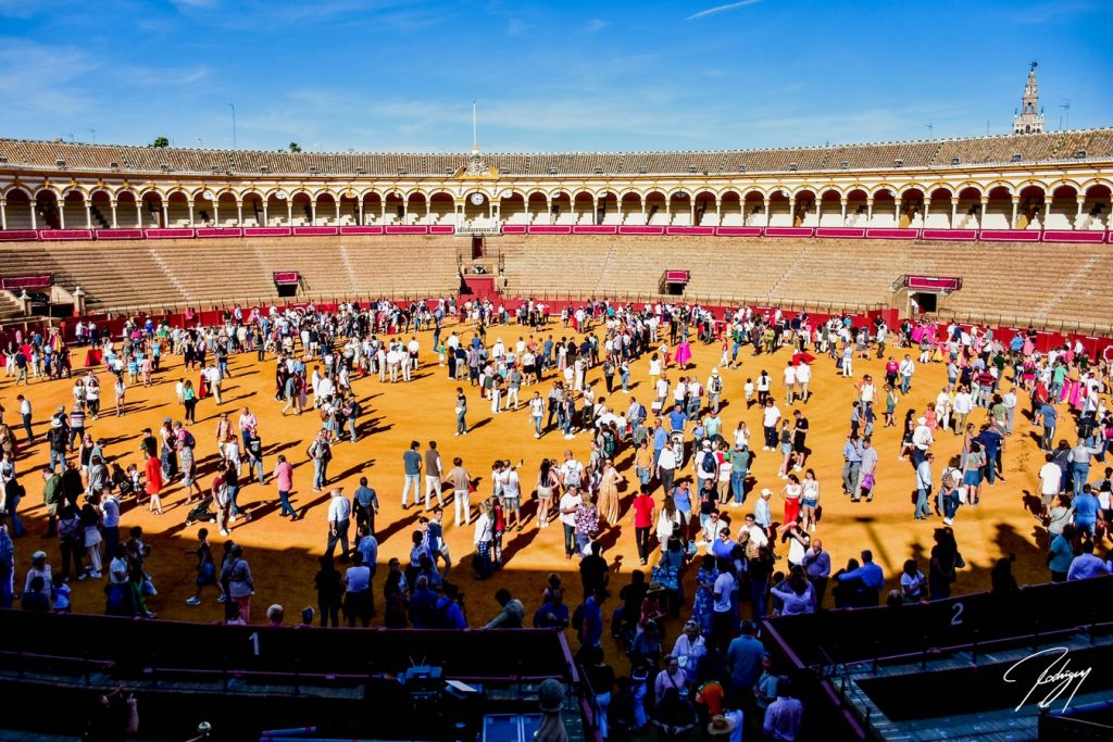 Jornada de Puertas Abiertas en la Plaza de Toros de Sevilla