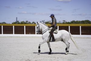 Sergio Pérez acerca el rejoneo a los jóvenes de Salamanca