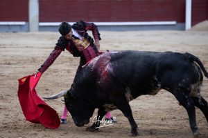 Vuelta al ruedo para Juan Leal en Las Ventas