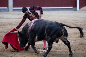 Vuelta al ruedo para Juan Leal en Las Ventas