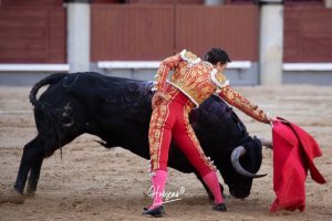 Vuelta al ruedo para Juan Leal en Las Ventas